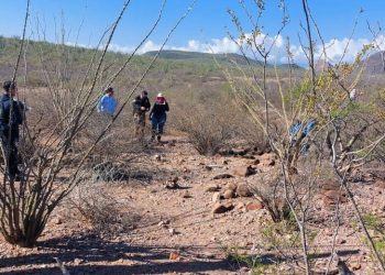 Encuentran osamentas en la Costa de Hermosillo