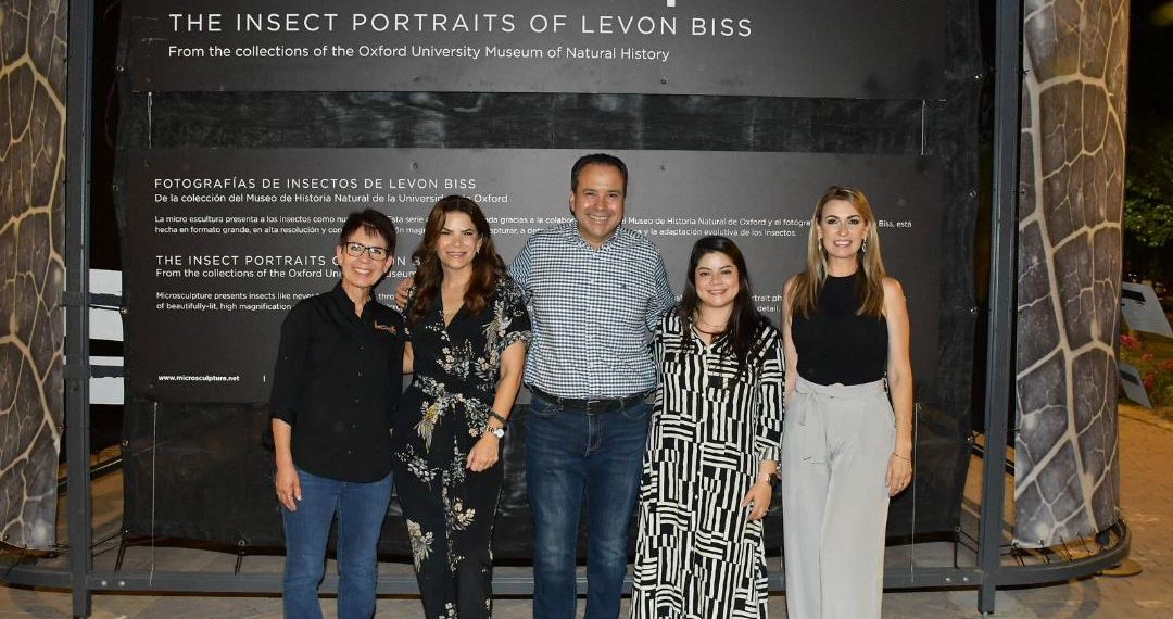 Inauguran Gobierno de Hermosillo y Fundación Coppel la exposición itinerante “INSECTUS” en el Parque Madero