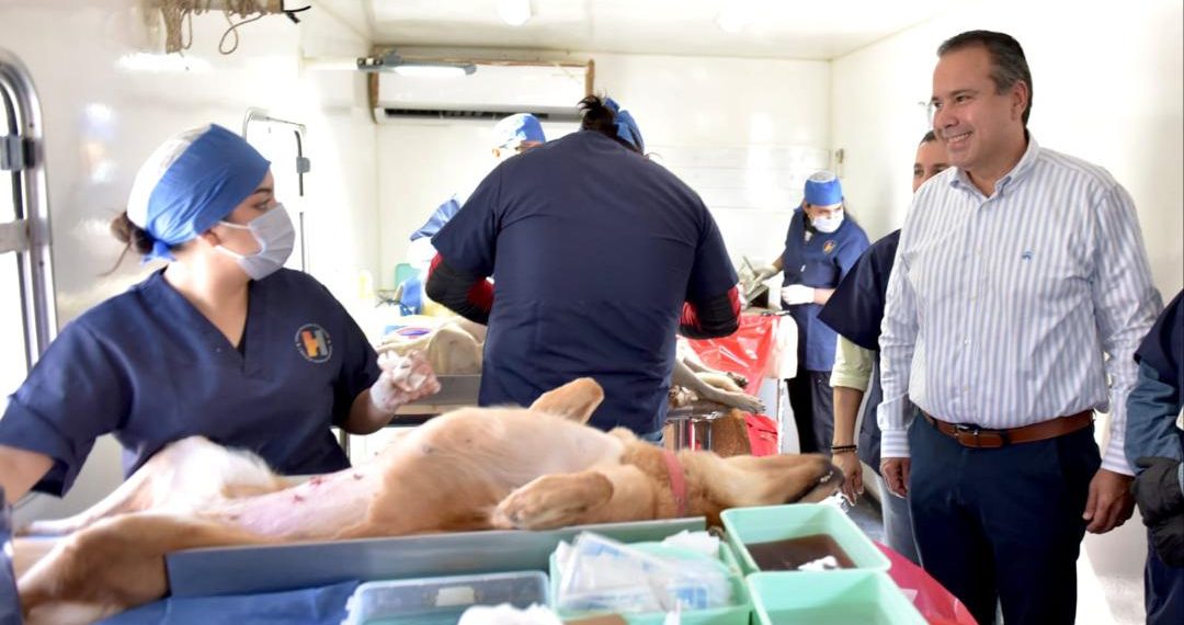 Atestigua Antonio Astiazarán jornada gratuita de esterilización de mascotas en Hermosillo