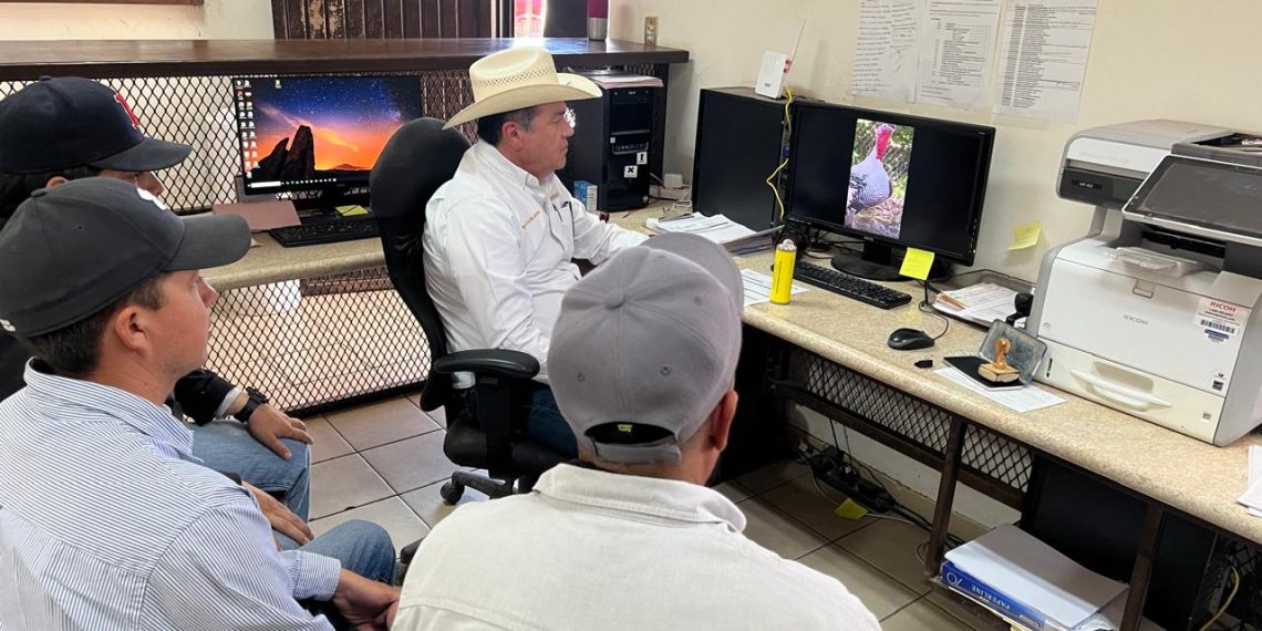 Trabajan Gobierno de Sonora y Gobierno de México para reapertura pronta de frontera para exportación de ganado