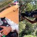 “La Flaca”, el reclutador de sicarios del CJNG asesinado en el bar “Los Cantaritos”