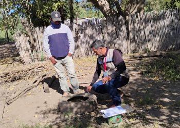 Salud Sonora mantiene resultados positivos en acciones preventivas contra dengue