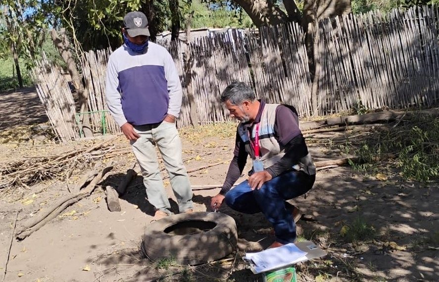 Salud Sonora mantiene resultados positivos en acciones preventivas contra dengue