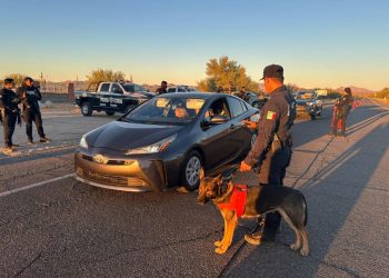 Reporta Gobierno de Sonora saldo blanco en Rocky Point Rally 2024 en Puerto Peñasco
