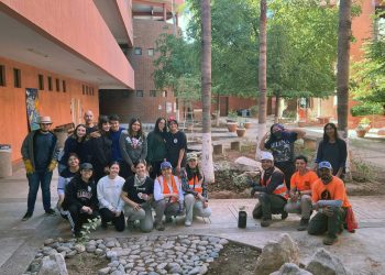 Plantan especies nativas en Jardín Polinizador del Departamento de Arquitectura y Diseño