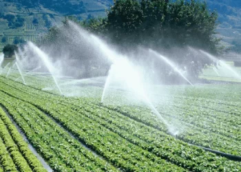 70% del agua es para agricultura y de esa el 70% se desperdicia: Carabias