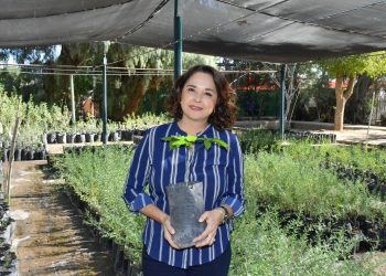 Habrá mega donación de árboles nativos este viernes