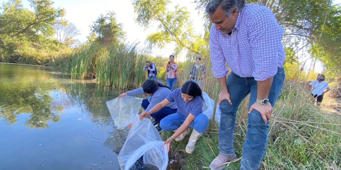 Impulsa Gobierno de Cajeme la Cooperativa Jiak Cuchuruem de la Tribu Yaqui en la comunidad de Hornos