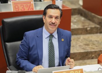 “Presupuesto 2025 brindará bienestar y desarrollo en Sonora”: Partido Verde