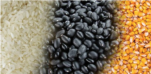 Récord en importaciones de frijol y arroz a México