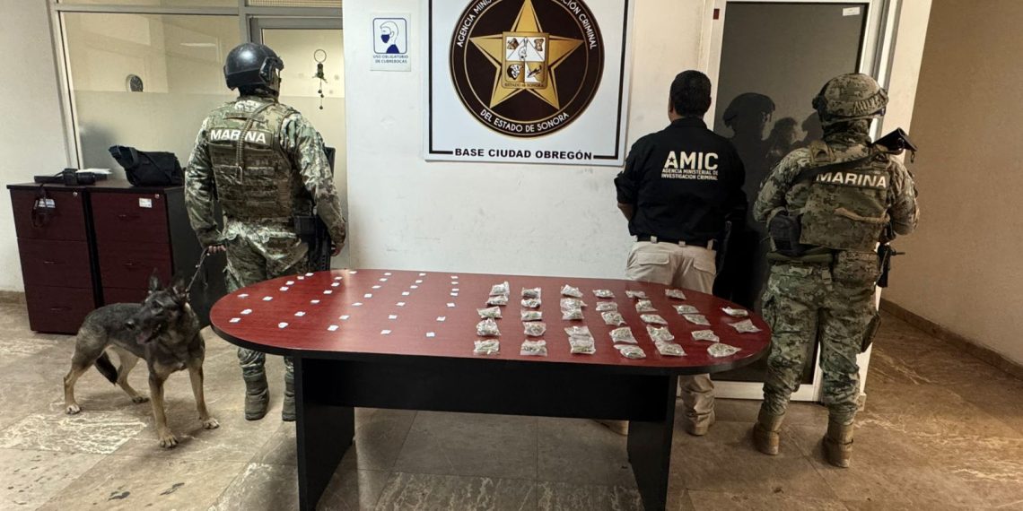 Fuerza de Tarea Interinstitucional (FTI) catea tres inmuebles y asegura narcótico