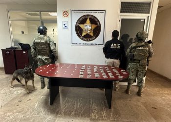 Fuerza de Tarea Interinstitucional (FTI) catea tres inmuebles y asegura narcótico