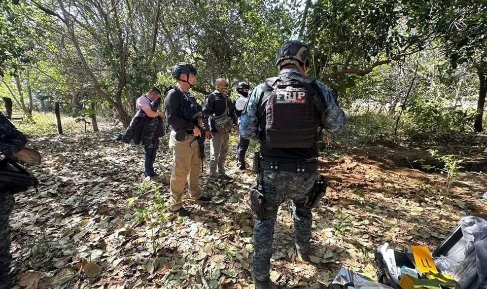 Hallan al menos 15 cuerpos en fosas clandestinas en Chiapas