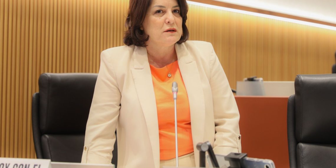 Con errores, omisiones y sin transparencia, Morena y aliados votan Paquete Económico 2025 para Sonora: Bancada Naranja