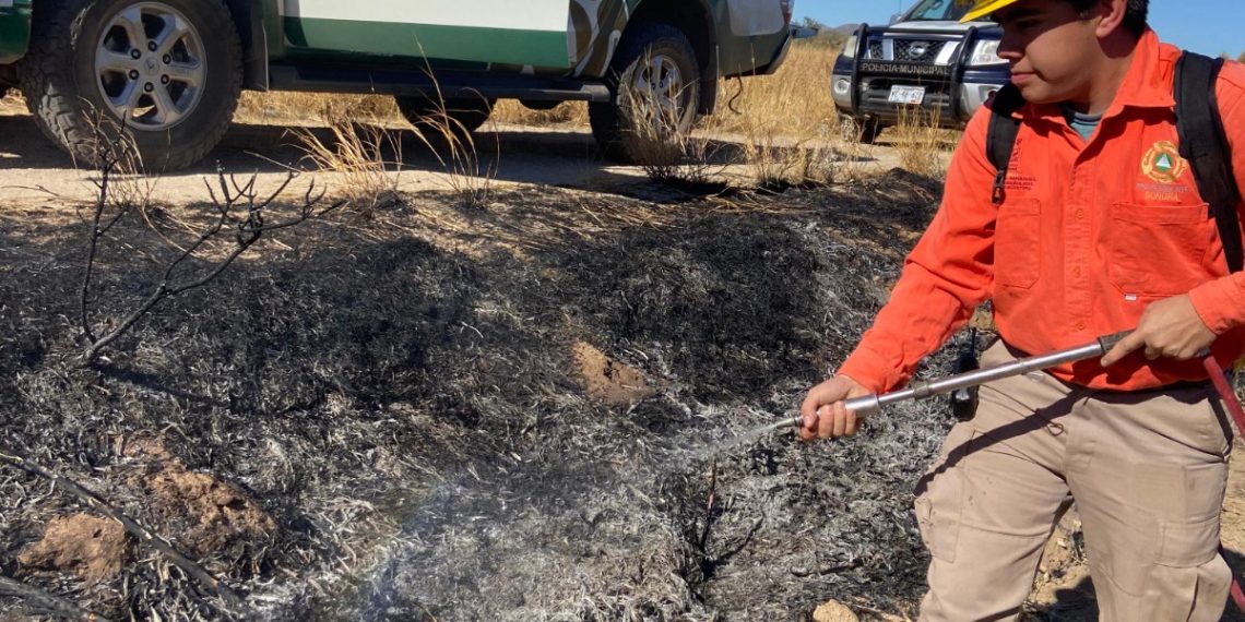 Liquida incendio forestal en San Miguel de Horcasitas la brigada estatal de manejo de fuego junto con autoridades municipales