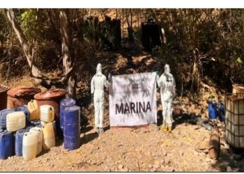 Fuerzas federales aseguran en Sinaloa 7 ‘narcolaboratorios’