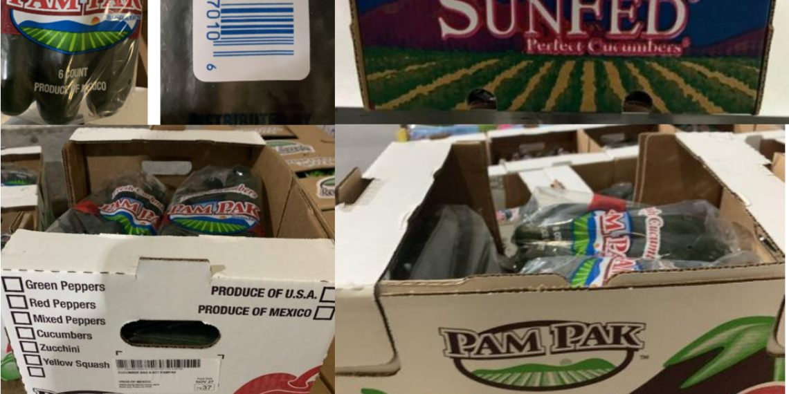 Pepinos de Sonora causaron brote de salmonella en Estados Unidos, apuntan autoridades