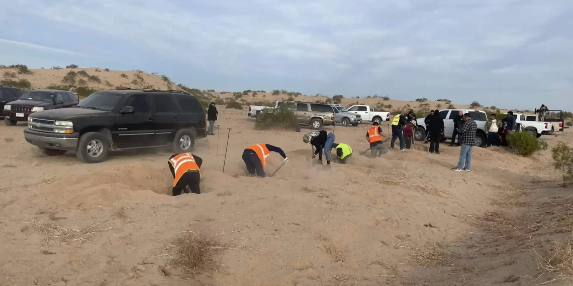 Encuentran restos humanos en zona desértica de San Luis RC