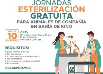 Ofrecerá Gobierno Municipal jornada gratuita de esterilización de animales de compañía en Bahía de Kino