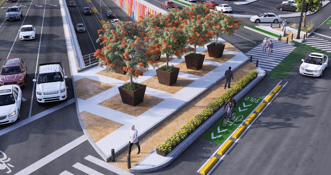 Más de 3 mil 900 especies de árboles y arbustos serán plantados en el proyecto integral de paso desnivel Colosio y Solidaridad