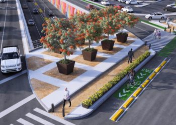 Más de 3 mil 900 especies de árboles y arbustos serán plantados en el proyecto integral de paso desnivel Colosio y Solidaridad