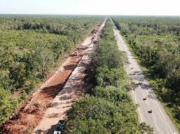 Greenpeace alerta sobre devastación de la Selva Maya; 10 millones de árboles talados