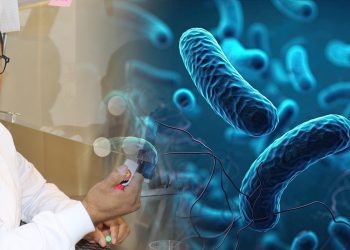 Complicaciones por bacteria Klebsiella oxytoca se registran en pacientes hospitalizados