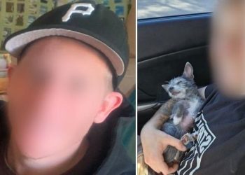 Confirman localización de ciudadano estadounidense reportado como desaparecido en Puerto Peñasco