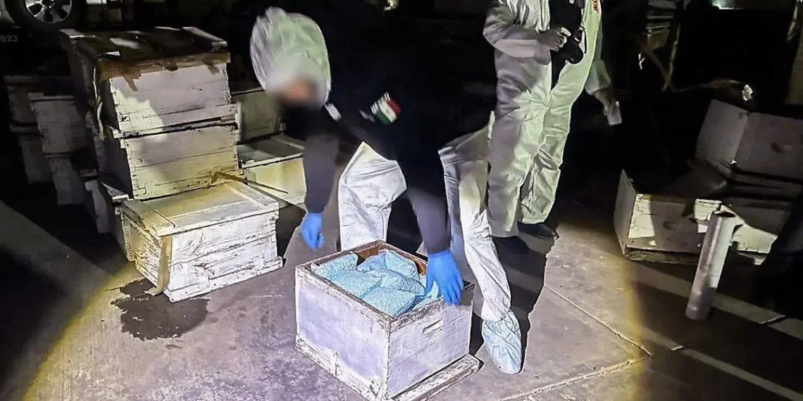 Decomisan camión de pasajeros en Sonora que transportaba fentanilo