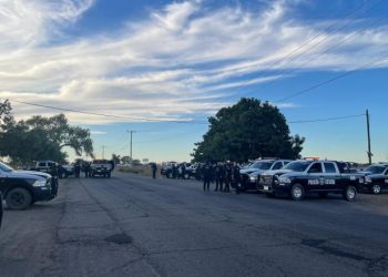 Abaten a 8 delincuentes en enfrentamiento en Bácum