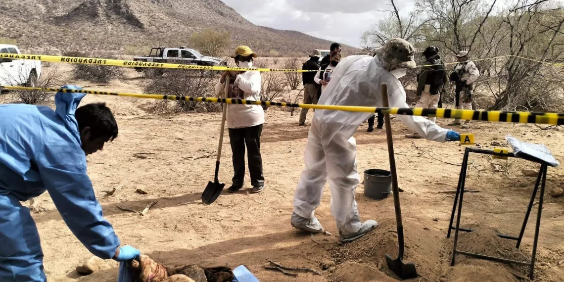 Localizan restos de 8 cuerpos en fosas clandestinas en La Costa de Hermosillo