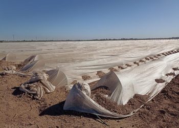 Emite Sagarhpa recomendaciones preventivas a productores por llegada de Segunda Tormenta Invernal