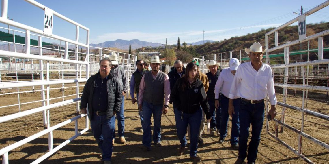 Gobierno de Sonora listo para recibir inspección de EU y reanudar exportación de ganado
