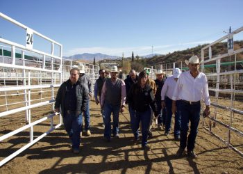 Gobierno de Sonora listo para recibir inspección de EU y reanudar exportación de ganado