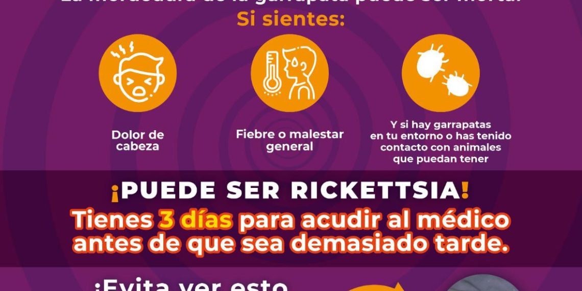 Gobierno de Sonora reduce un 36.93% tasa de letalidad de rickettsia durante 2024
