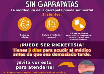 Gobierno de Sonora reduce un 36.93% tasa de letalidad de rickettsia durante 2024