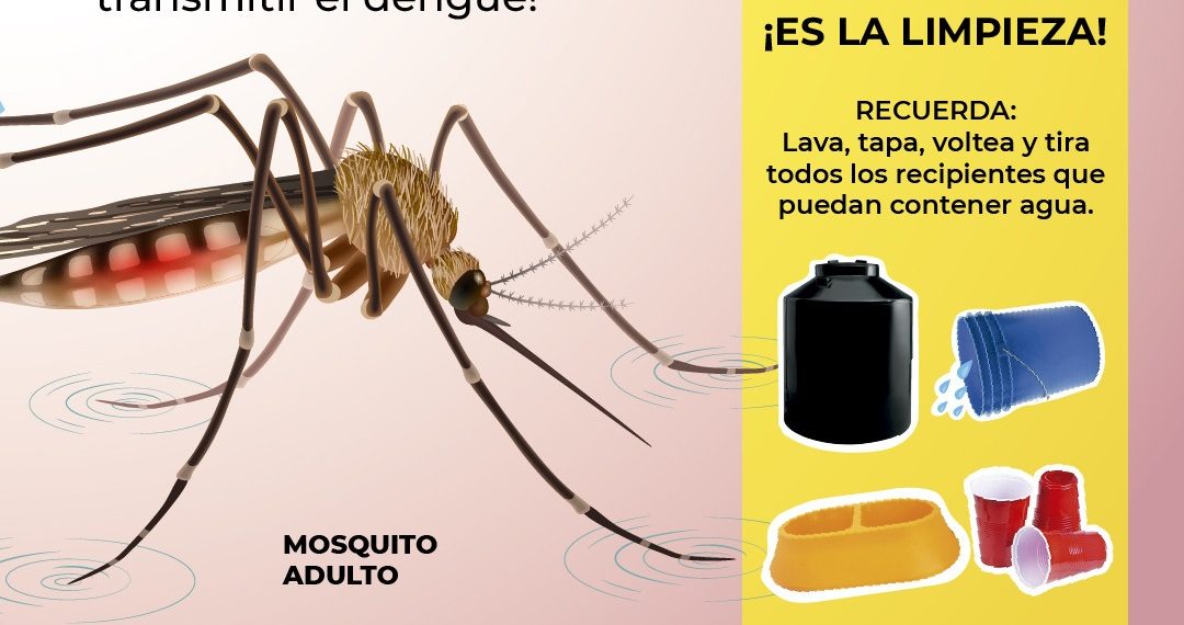 Gobierno de Sonora mantiene baja incidencia de casos de dengue: SSP