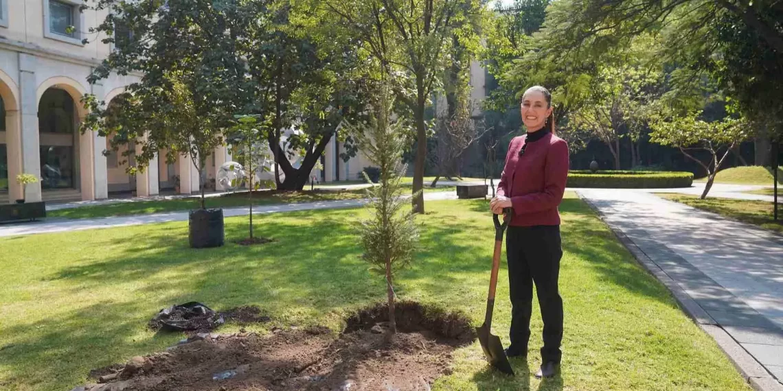 Claudia Sheinbaum envía mensaje por Año Nuevo: augura que 2025 ‘será un muy buen año’