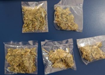 Incauta Gobierno de Sonora narcótico en operativo Cajeme