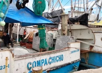 Pescadores de Guaymas dejan el mar por bajos números