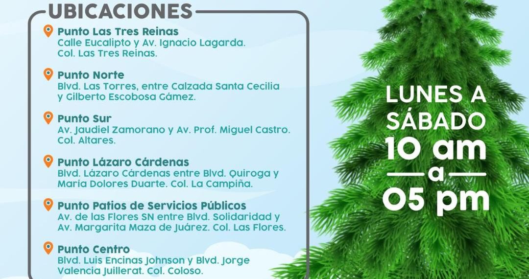 Invita Ayuntamiento de Hermosillo a depositar árboles navideños en centros de acopio