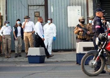 Rescatan perros de presunta carnicería en Edomex