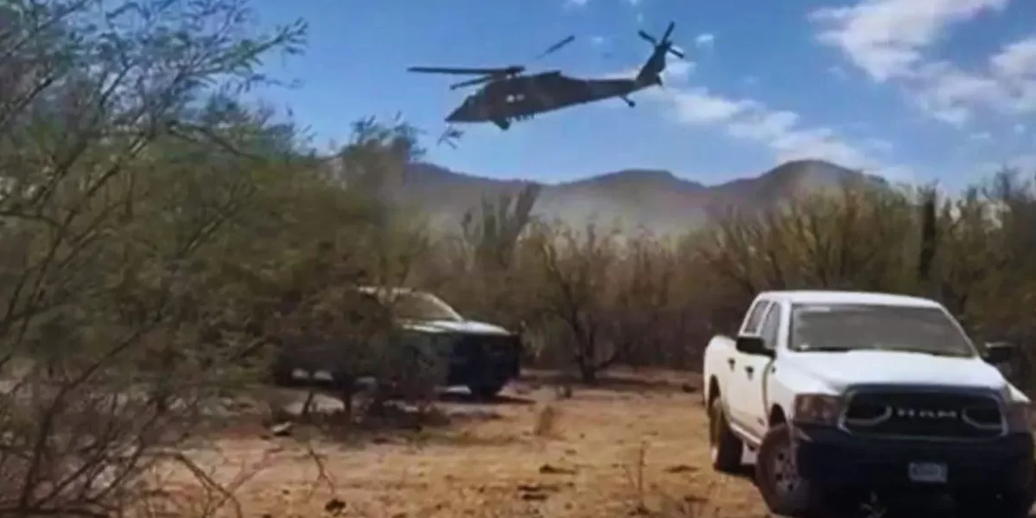 Detienen a dos jóvenes integrantes de grupo criminal en Trincheras