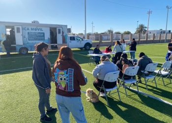 Esteriliza gratis Gobierno de Hermosillo y organización civil a 96 mascotas en Bahía de Kino