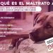 Promueve Secretaría de Seguridad Pública la denuncia hacia el maltrato animal