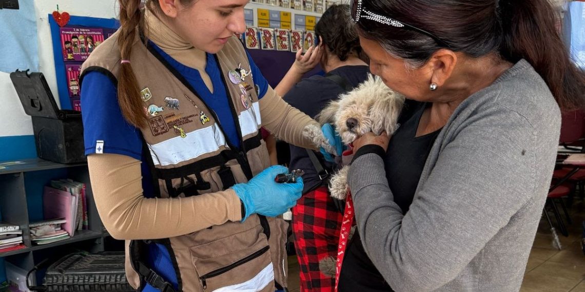 Beneficia Gobierno de Sonora salud de animales con jornadas integrales gratuitas