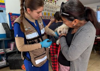 Beneficia Gobierno de Sonora salud de animales con jornadas integrales gratuitas
