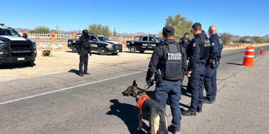 Asegura Gobierno de Sonora más de 5 mil dosis de narcótico en operativos de la Policía Estatal