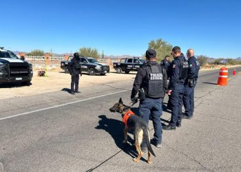 Asegura Gobierno de Sonora más de 5 mil dosis de narcótico en operativos de la Policía Estatal