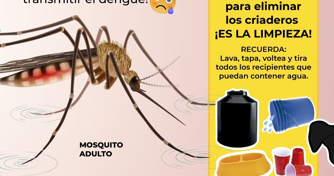 Sonora ocupa el tercer lugar con menos casos de dengue en el país: SSP